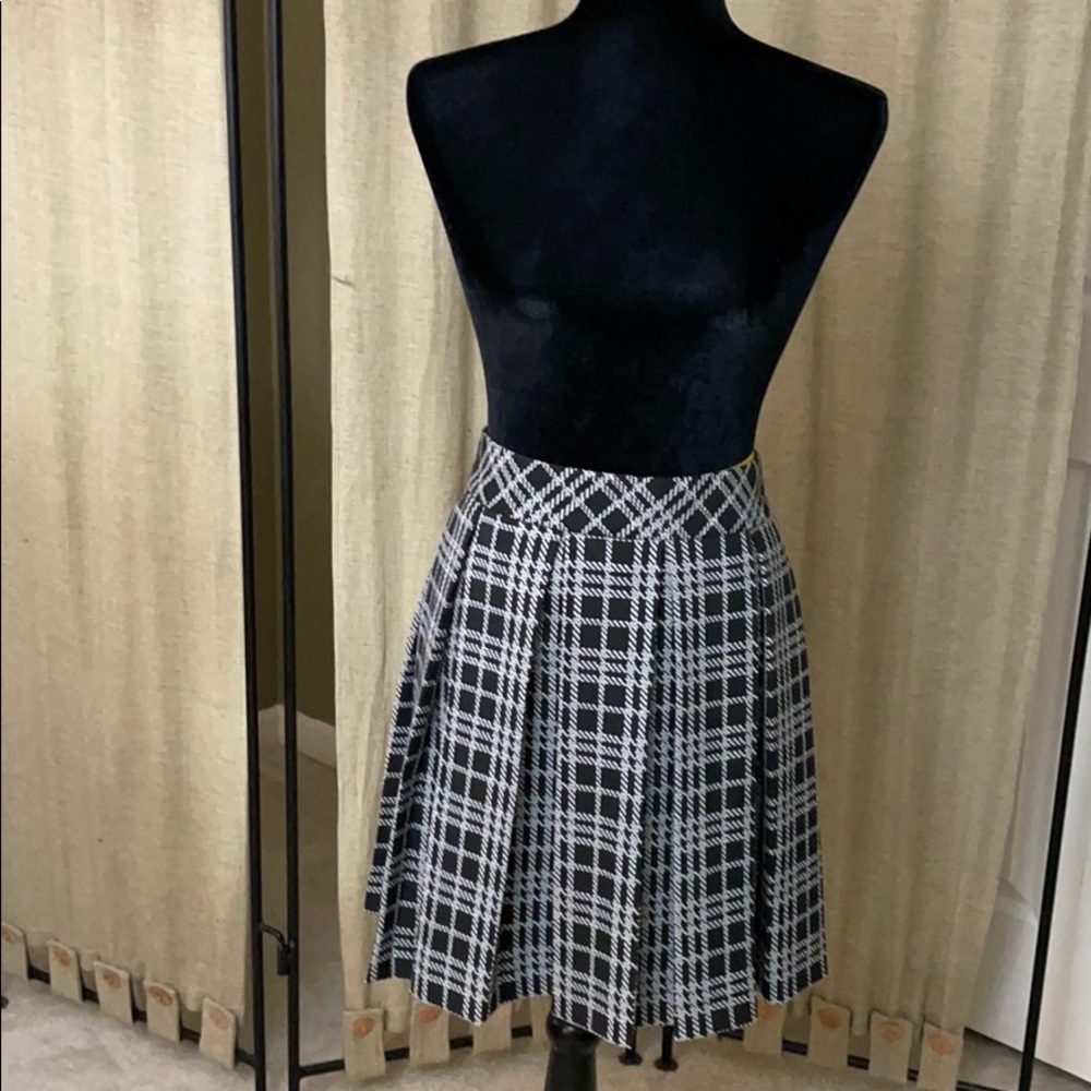 Banana Republic skirt